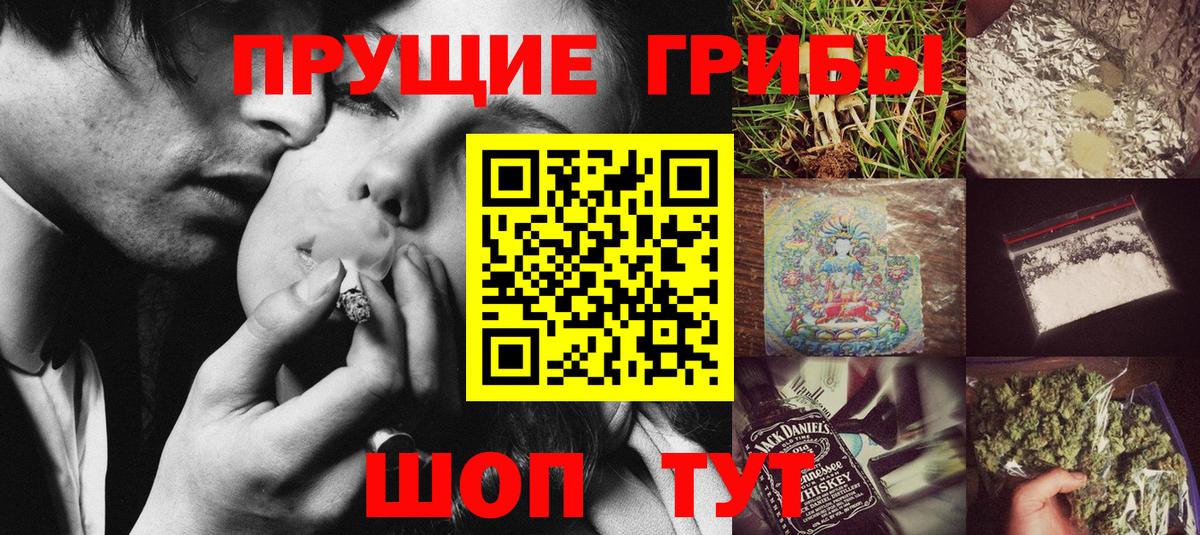 Псилоцибиновые грибы Cubensis Кандалакша