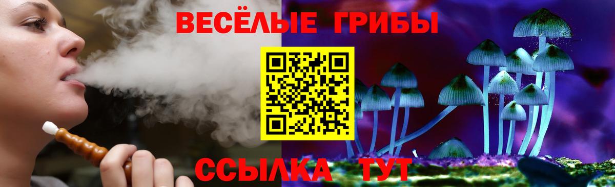 Галлюциногенные грибы Cubensis  Галлюциногенные грибы Magic Shrooms  Кандалакша  Вход с VPN 